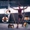 5 Pcs Professional Resistance Bands. Latex-Free, Elastic Band, Work Out Bands, Stretch Bands for Working Out Women or Men, Exercise Bands Set for Physical Therapy, Yoga, Pilates - Image 5