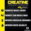 Forzagen Creatine Monohydrate Capsules 360 Capsules, Muscle Gaining Support, Strength Improve - Image 4