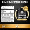 6AM Run Marathon - Pre Workout Powder for Distance Running & Essential Amino Energy - No Jitters, High Energy for Cardio & Stamina Formula - All Natural, Keto, Vegan - Image 2