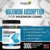 Renew Actives Creatine Monohydrate Powder, Ultimate Post or Pre Workout Powder for Muscle Growth, Mass Gainer, and Increased Strength, 100% Pure Creatine Powder 5g per Serving/ 60 Serving - Image 6
