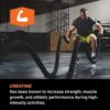 Proven4 Sport Cherry Limeade Pre Workout Powder for Men and Women with Creatine and Beta Alanine, NSF Certified Supplements for a Clean Pre Workout, 30 Servings - Image 5