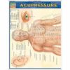 Acupressure (Quick Study Academic Outline) - Image 2