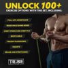 Long Resistance Bands for Working Out - Pull Up Assistance Bands Resistance Bands with Handles, Door Anchor - Stretch Bands for Exercise Bands Resistance Bands Set - Image 7