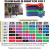 Tifereth Pull-Up Bands Resistance-Bands Exercise-Bands - Pull up Assistance Bands Workout Bands Resistance for Women Long Resistance Bands Resistance Loop Bands Perfect for Gym Home - Image 6