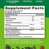 Sambucus Black Elderberry Gummies | 50 Count | with Vitamin C and Zinc | Natural Berry Flavor | Vegan, Non-GMO, Gluten Free | Extract Gummies for Adults | by Nature's Truth - Image 2
