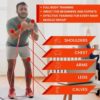 Shelter Fitness Heavy Duty Resistance Bands - Range of 15-210lbs, Ideal for Strength Training, Assisted Pull-ups, Squats, Full Range Motion Exercises, Portable & Versatile with Carry Bag - Exercise Bands for Men & Women - Image 4