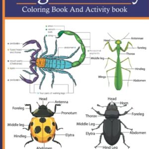 Bug Anatomy Coloring Book And Activity Book: A Activity Book To Learn And Draw Bug Anatomy Body In This Coloring Book And having Fun With Beautiful Interior For Kids And Adults