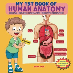 My 1st Book of Human Anatomy: Discovering the Human Body Systems, Parts, and Organs, with a Labeling Activity for Different Body Systems