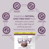 Designer Wellness, Designer Whey, Natural Protein Powder with Probiotics, Fiber, and Key B-Vitamins for Energy, Gluten-Free & Kosher, Double Chocolate, 2 lb - Image 4