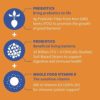 Garden of Life Dr Formulated 10 Billion CFU Prebiotic Fiber & Probiotic Gummies with Vitamin D3 for Digestive and Immune Health – Gluten Free, Non GMO, No Added Sugar, Orange Dream Flavor, 60 Gummies - Image 3