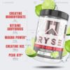 Ryse Element Series Loaded Creatine | Muscle Building Formula | 3 Forms of Creatine + Electrolytes, Betaine Anhydrous, & Peak ATP | 30 Servings (Baja Cooler) - Image 3