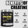 Forzagen Creatine Monohydrate Capsules 360 Capsules, Muscle Gaining Support, Strength Improve - Image 5