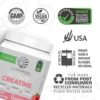 Sunwarrior Creatine Monohydrate Powder | Muscle Building Strength Training Pre Workout & Recovery | Vegan & Keto Friendly Micronized & Easily Mixes 350g Tub (50 Servings) Raspberry Active Creatine - Image 3