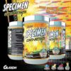 Specimen Full Spectrum High Stimulant Pre-Workout Powder | Supercharged Energy & Muscle Pumps + Focus & Hydration | Great Far-Out Flavors (Martian Mango V3) - Image 5
