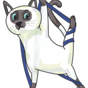 Aerial Silks Dancer Aerialist Air Yoga Acrobatics Cat Funny: Plain Lined Journal Notebook, 120 Pages, Medium 6 x 9 Inches, Printed Cover
