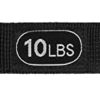 Retrospec Train Resistance Bands Set (5pc) Workout Bands w/Handles, Door Anchor, Carry Bag for Women & Men - Image 6