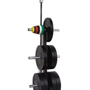 CFF Olympic 2 Bar & Bumper Plate Tree for Weights - 1000 lb. Capacity Mobile Weight Storage Rack w/Wheels. Perfect for Any Commercial Gym, Fitness Training Center, or Home Gym