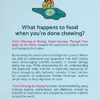 From Chewing to Pooing: Food's Journey Through Your Body to the Potty - Image 2