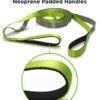 Gradient Fitness Stretching Strap for Physical Therapy, 12 Multi-Loop Stretch Strap 1" W x 8' L, Neoprene Handles, Physical Therapy Equipment, Yoga Straps for Stretching, Leg Stretcher.… - Image 5