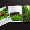 Sunken Gardens: A Step-by-Step Guide to Planting Freshwater Aquariums - Image 8