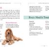 Wellness for Dogs: A Guide for Health, Hygiene, and Happiness - Image 7
