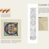 Beginning Illumination: Learning the Ancient Art, Step by Step - Image 5