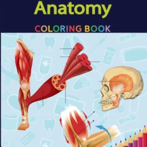 Musculoskeletal Anatomy Coloring Book: Muscular System Anatomy Coloring Book For Kids All Human Body Musculoskeletal With Over 30 Fun Facts (A Did You Know? Coloring Book)