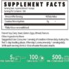 Creatine Monohydrate Powder 500 Grams (1.1lbs), Micronized Creatine Powder, Creatine Supplements Vegan Pre Workout Creatine Nutritional, Pure, Unflavored, No Additives - Image 2