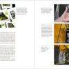 Sunken Gardens: A Step-by-Step Guide to Planting Freshwater Aquariums - Image 7