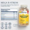 SOLARAY Mega Vitamin B-Stress, Timed-Release Vitamin B Complex with 1000 mg of Vitamin C for Stress, Energy, Red Blood Cell & Immune Support, Vegan, 60-Day Guarantee, (276 CT) - Image 2