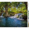 Sunken Gardens: A Step-by-Step Guide to Planting Freshwater Aquariums - Image 5