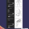 Musculoskeletal Anatomy Coloring Book: Muscular System Anatomy Coloring Book For Kids All Human Body Musculoskeletal With Over 30 Fun Facts (A Did You Know? Coloring Book) - Image 2