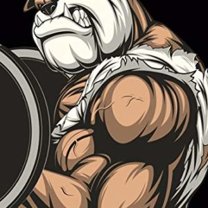 Beast Mode Workout Log Book: Bodybuilding Journal, Notebook Fitness, 6x9 120 Pages Gym Log