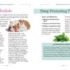 Wellness for Dogs: A Guide for Health, Hygiene, and Happiness - Image 4