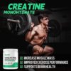 Creatine Monohydrate Powder 500 Grams (1.1lbs), Micronized Creatine Powder, Creatine Supplements Vegan Pre Workout Creatine Nutritional, Pure, Unflavored, No Additives - Image 3