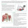 Pilates: Exercise Encyclopedia - Image 2